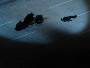 Rises LA batpod x police