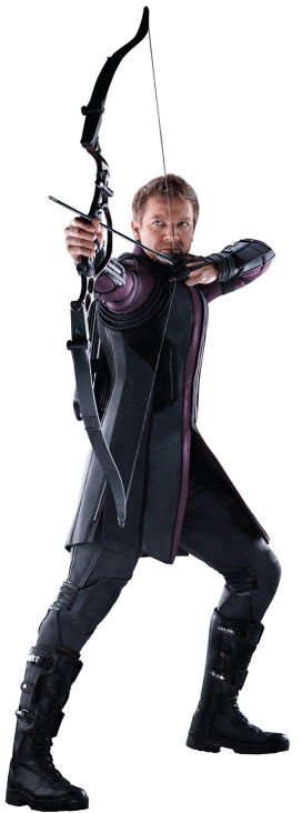 Gavião Arqueiro em Guerra Civil.